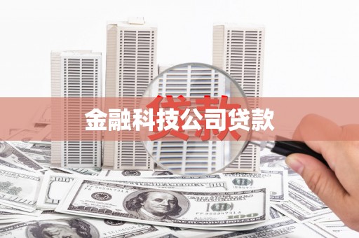 泰来金融科技公司贷款