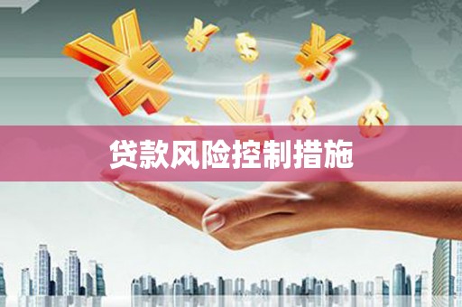 泰来贷款风险控制措施