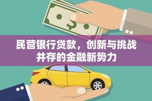 泰来民营银行贷款，创新与挑战并存的金融新势力