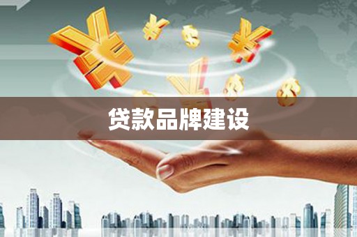 泰来贷款品牌建设