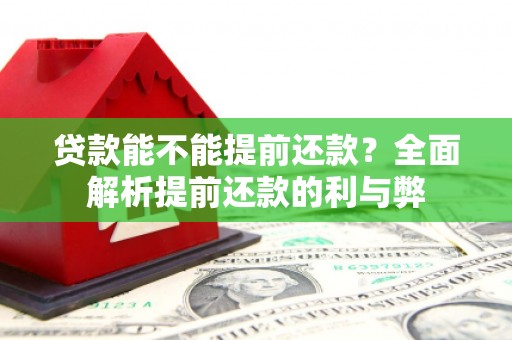 泰来贷款能不能提前还款？全面解析提前还款的利与弊