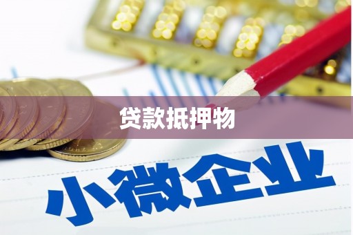 泰来贷款抵押物
