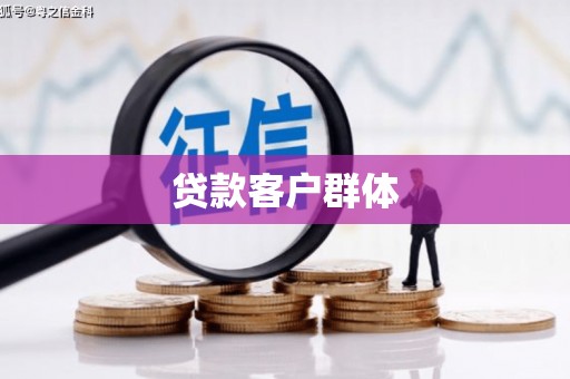 泰来贷款客户群体