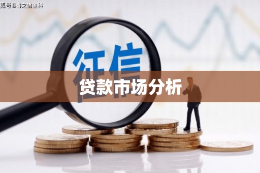 泰来贷款市场分析