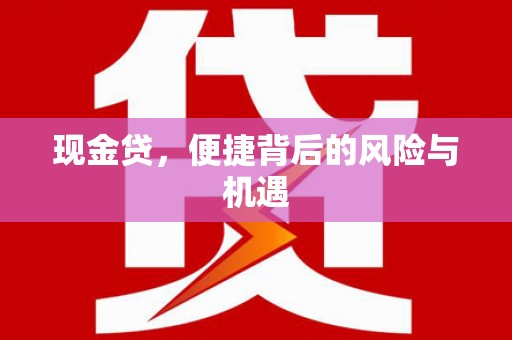泰来现金贷，便捷背后的风险与机遇