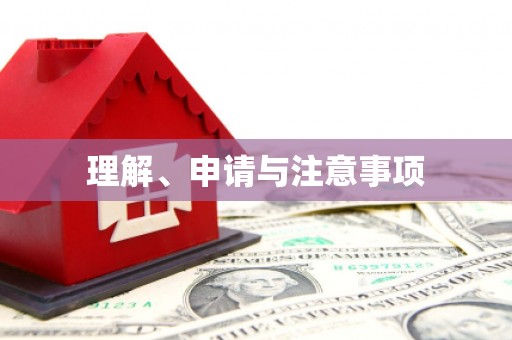 泰来理解、申请与注意事项