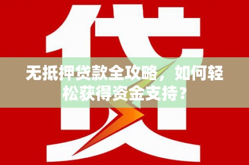 泰来无抵押贷款全攻略，如何轻松获得资金支持？