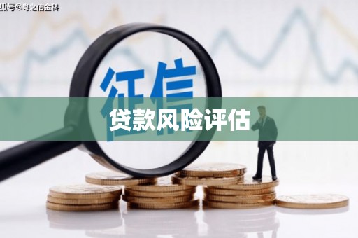泰来贷款风险评估