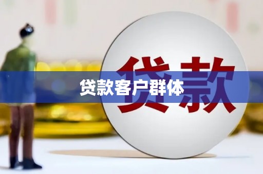 泰来贷款客户群体