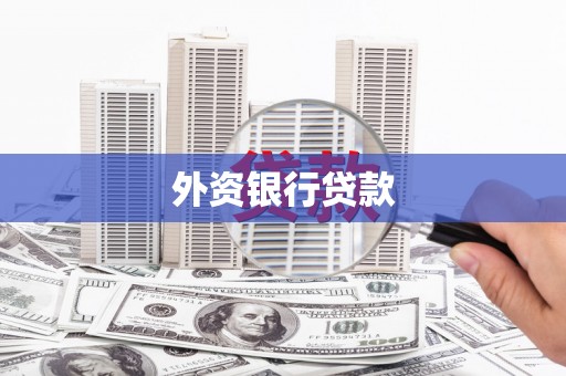 泰来外资银行贷款