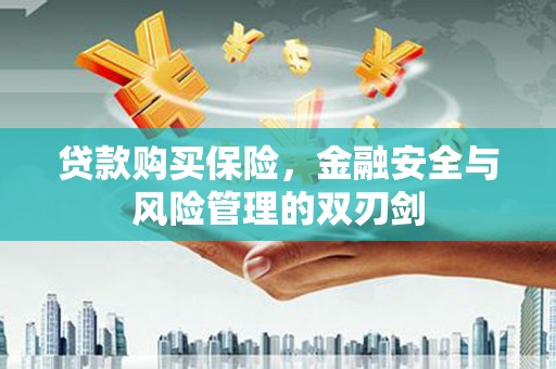 泰来贷款购买保险，金融安全与风险管理的双刃剑