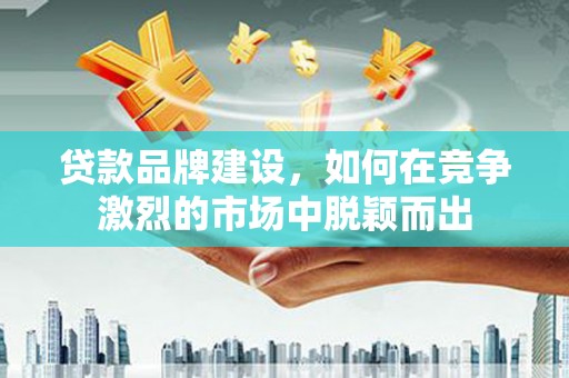 泰来贷款品牌建设，如何在竞争激烈的市场中脱颖而出