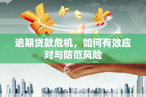 泰来逾期贷款危机，如何有效应对与防范风险