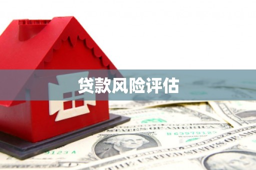 泰来贷款风险评估