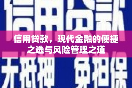 泰来信用贷款，现代金融的便捷之选与风险管理之道