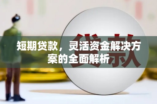 泰来短期贷款，灵活资金解决方案的全面解析