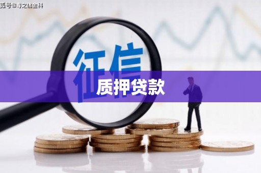 泰来质押贷款