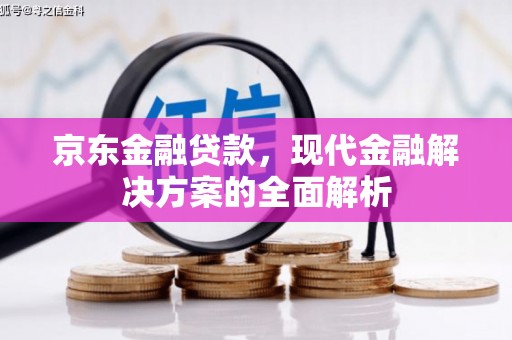泰来京东金融贷款，现代金融解决方案的全面解析