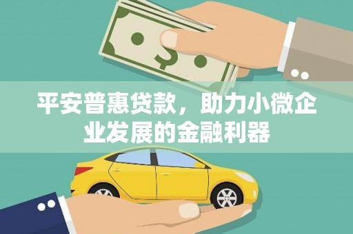 泰来平安普惠贷款，助力小微企业发展的金融利器