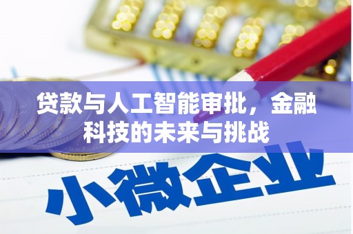 泰来贷款与人工智能审批，金融科技的未来与挑战