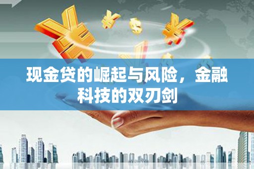 泰来现金贷的崛起与风险，金融科技的双刃剑