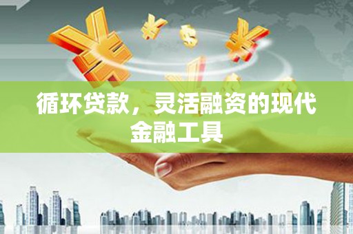 泰来循环贷款，灵活融资的现代金融工具