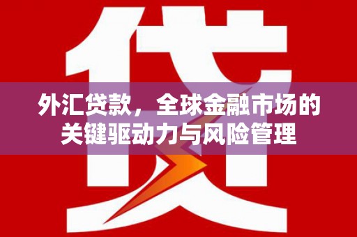 泰来外汇贷款，全球金融市场的关键驱动力与风险管理