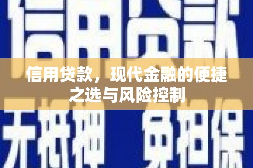 泰来信用贷款，现代金融的便捷之选与风险控制
