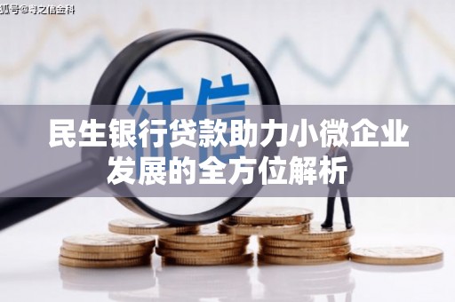 泰来民生银行贷款助力小微企业发展的全方位解析