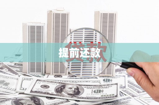 泰来提前还款