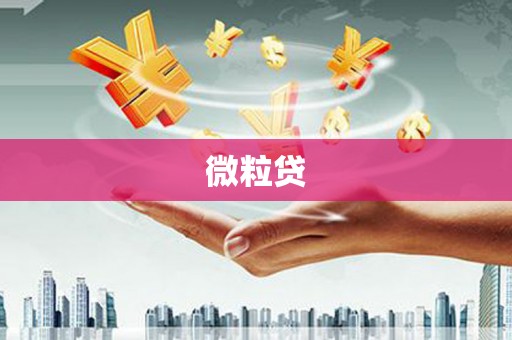 泰来微粒贷