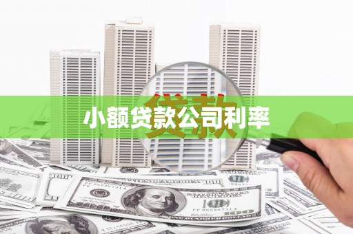 泰来小额贷款公司利率