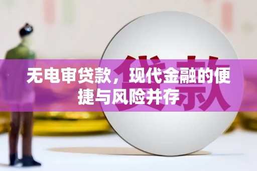 泰来无电审贷款，现代金融的便捷与风险并存