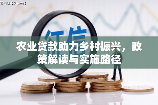泰来农业贷款助力乡村振兴，政策解读与实施路径