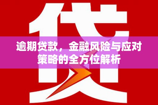 泰来逾期贷款，金融风险与应对策略的全方位解析
