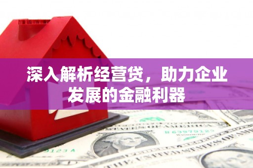 泰来深入解析经营贷，助力企业发展的金融利器
