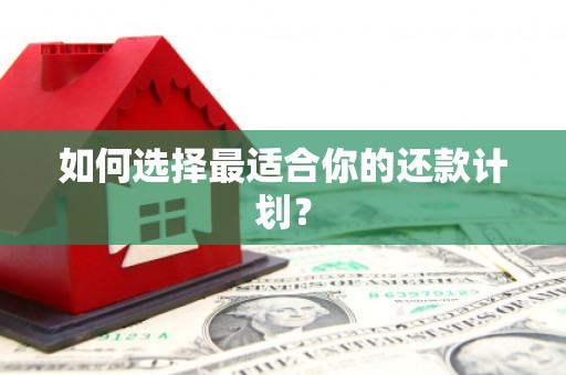 泰来如何选择最适合你的还款计划？