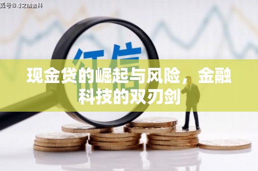 泰来现金贷的崛起与风险，金融科技的双刃剑