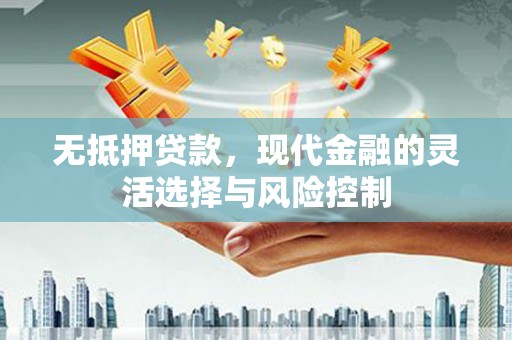 泰来无抵押贷款，现代金融的灵活选择与风险控制