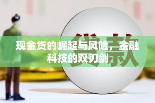 泰来现金贷的崛起与风险，金融科技的双刃剑