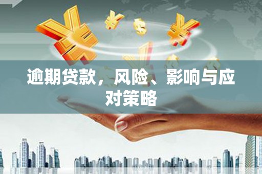 泰来逾期贷款，风险、影响与应对策略