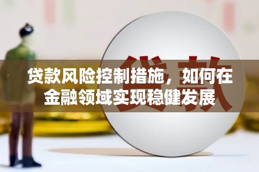 泰来贷款风险控制措施，如何在金融领域实现稳健发展