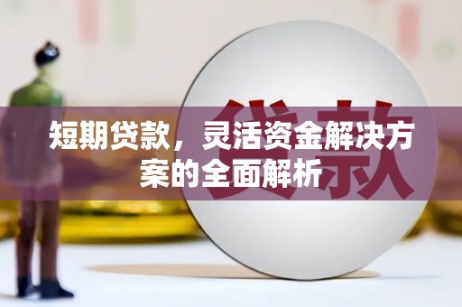 泰来短期贷款，灵活资金解决方案的全面解析