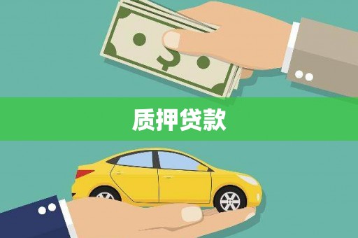泰来质押贷款