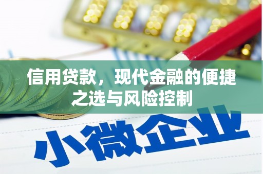 泰来信用贷款，现代金融的便捷之选与风险控制