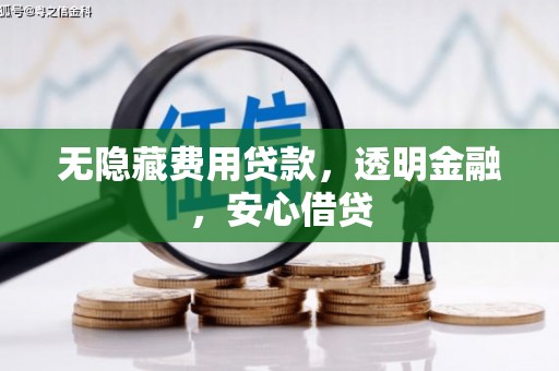 泰来无隐藏费用贷款，透明金融，安心借贷