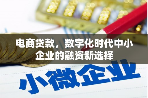 泰来电商贷款，数字化时代中小企业的融资新选择