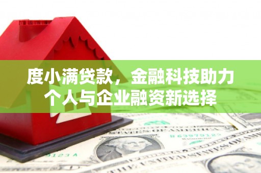 泰来度小满贷款，金融科技助力个人与企业融资新选择