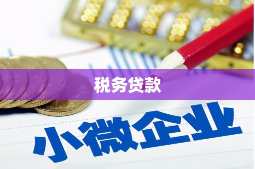 泰来税务贷款