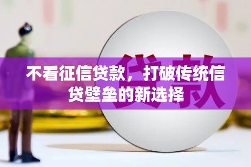 泰来不看征信贷款，打破传统信贷壁垒的新选择